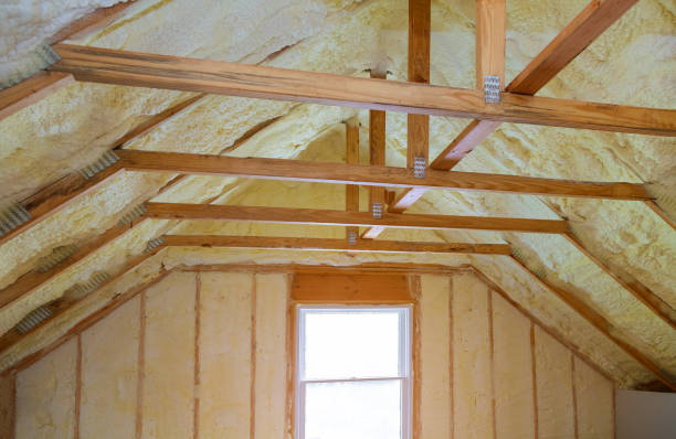Best Insulation Installation Services in Eagle Butte, SD